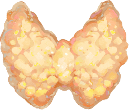 tarczyca i lewotyroksyna
